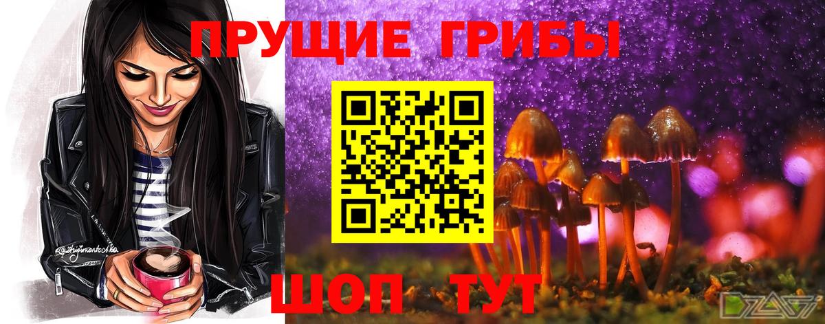 Конопля Красный Сулин