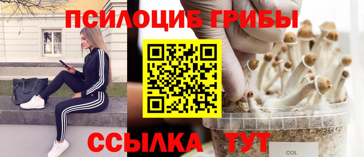 Красный Сулин  Псилоцибиновые грибы Psilocybe  Вход с VPN 