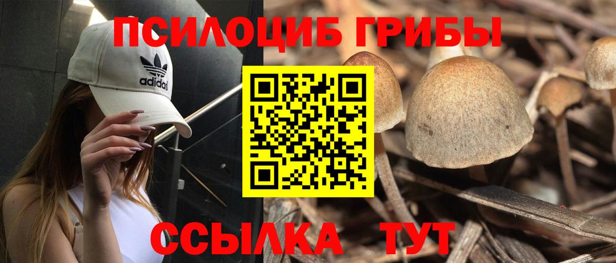 Псилоцибиновые грибы MAGIC MUSHROOMS Красный Сулин